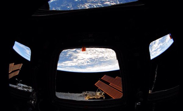 File:Wheelock looking out the ISS cupola window.jpg