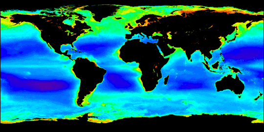 File:Worldwide view of oceans phytoplankton earth observatory nasa.gif