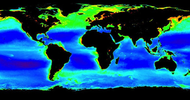 Worldwide view of plankton www.phys.org.jpg