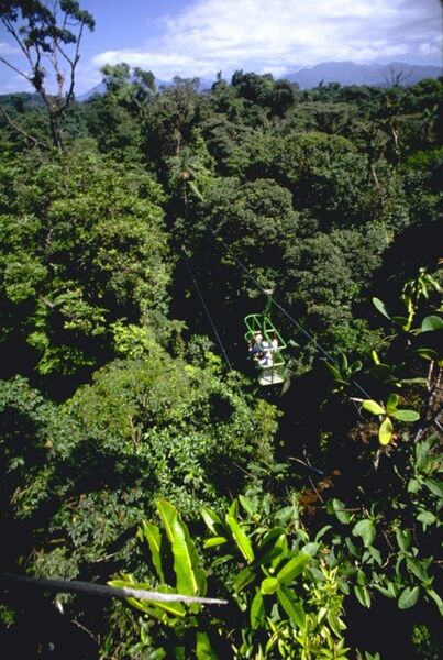 File:DON PERRY RAIN-FOREST-AERIAL-TRAM m.jpg