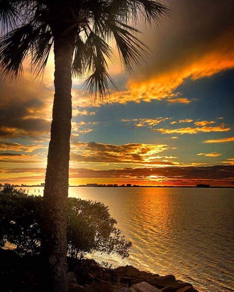 File:Dunedin, Florida sunset.jpg