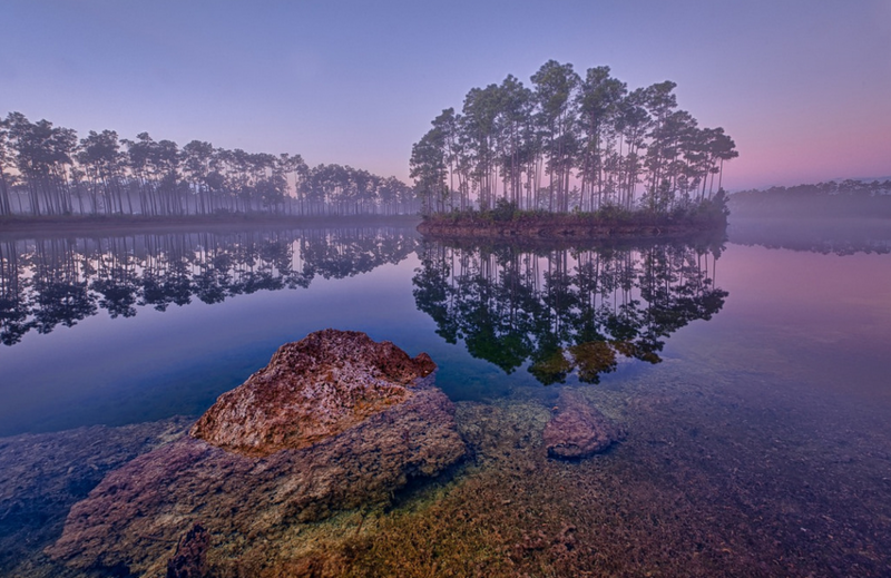File:Everglades dawn Photo courtesy of Glenn Nagel.png