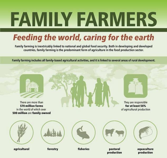 File:Family farms over 500 million.jpg