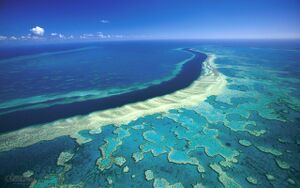 Great-barrier-reef-2011 image credit, mike mccoy.jpg