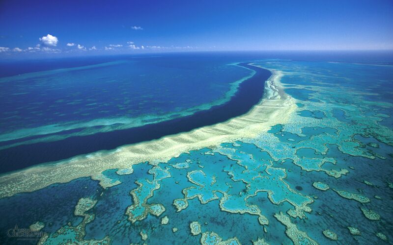 File:Great-barrier-reef-2011 image credit, mike mccoy.jpg