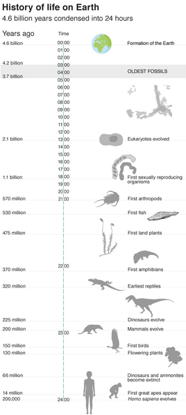 File:History of life on earth.png
