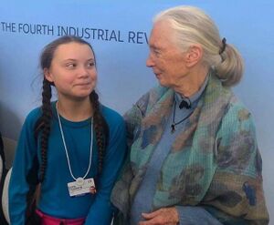 Jane Goodall and Greta Thunberg.jpg