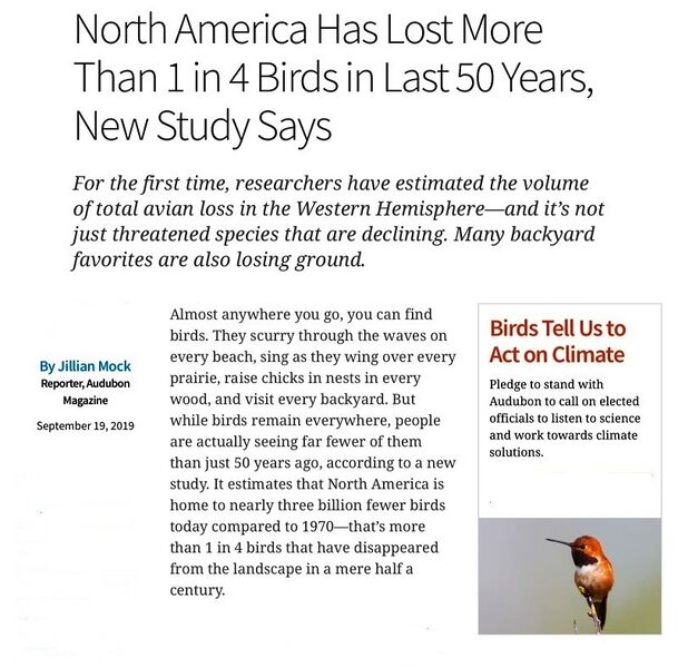 File:Loss of N American Birds - 1.jpg