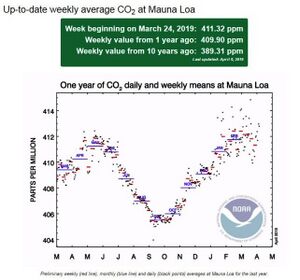 Mauna Loa - CO2 - Apr2019.jpg