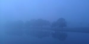 Misty Morning on the Estuary.jpg