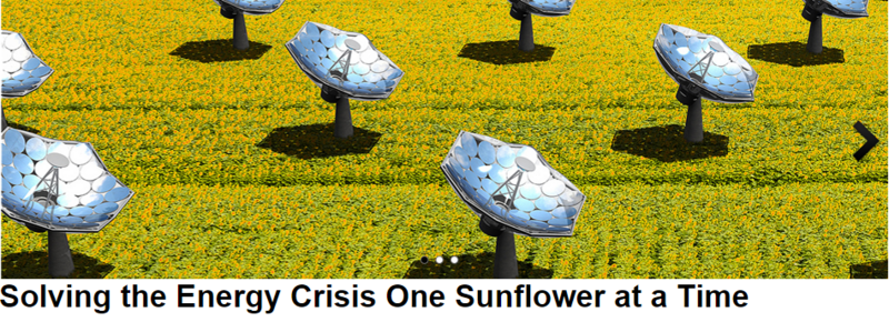 File:One Sunflower at a Time.png