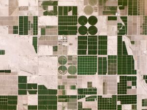 PlanetLabs AZ Irrigation fields-m.jpg