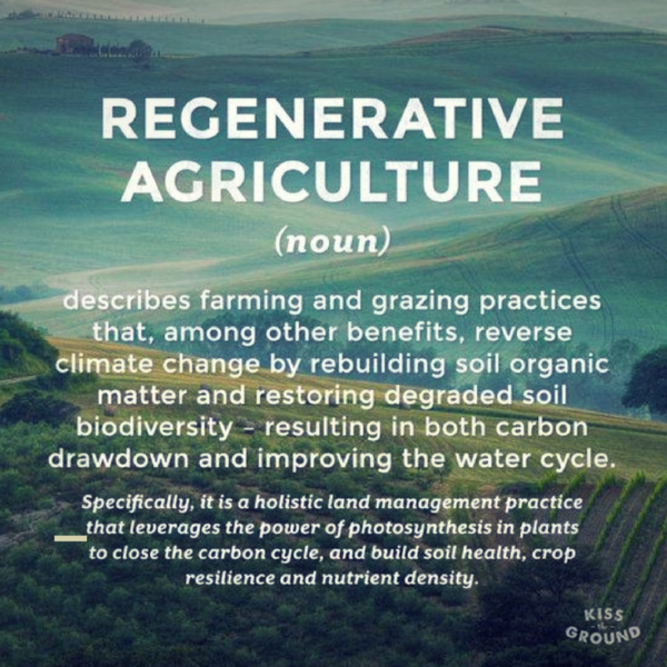 File:Regenerative Ag - Kiss the Ground - The Secret is in the Soil.png