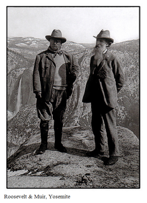 Roosevelt and Muir at Yosemite.png