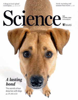 Science, a dog pic, not a cat pic.gif