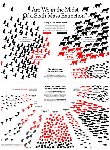 File:Sixth Mass Extinction infograph-NYT.jpg