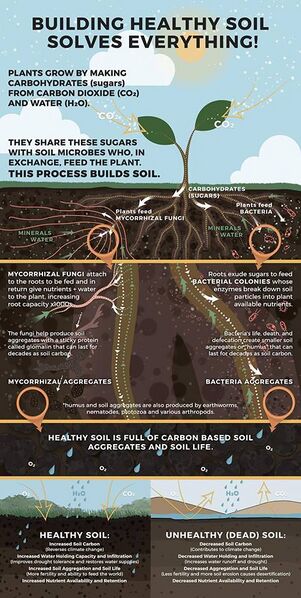 File:Soil is the root stuff.jpg