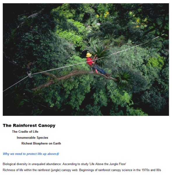 File:The Rainforest Canopy, the Richest Biosphere on Earth.png