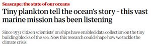 Tiny Plankton - via The Guardian.jpg