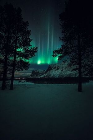 Tor Ivar Northern Green Aurora Light in Reisandalen.jpg