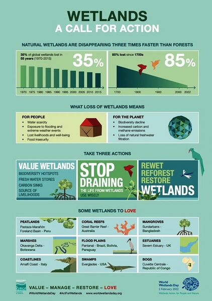 File:Value the Wetlands - UN Biodiversity Infographic 2023.jpg
